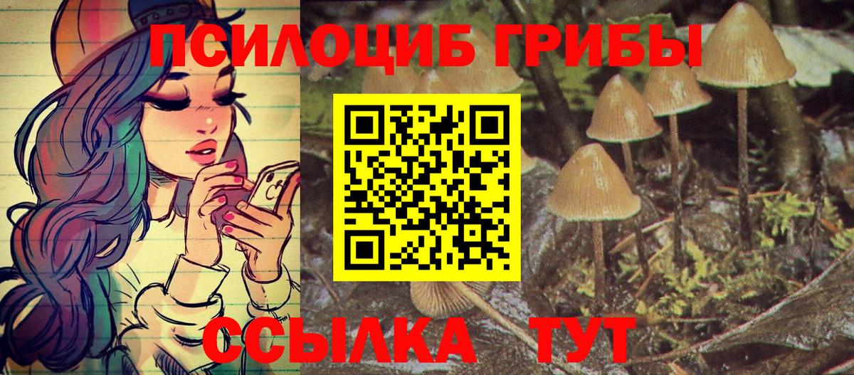 Мирный  Галлюциногенные грибы прущие грибы  Вход с VPN 