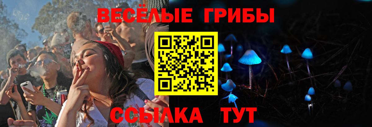 Галлюциногенные грибы мицелий Мирный